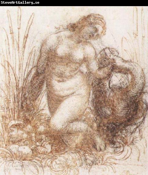Leonardo  Da Vinci Study for a kneeling Leda